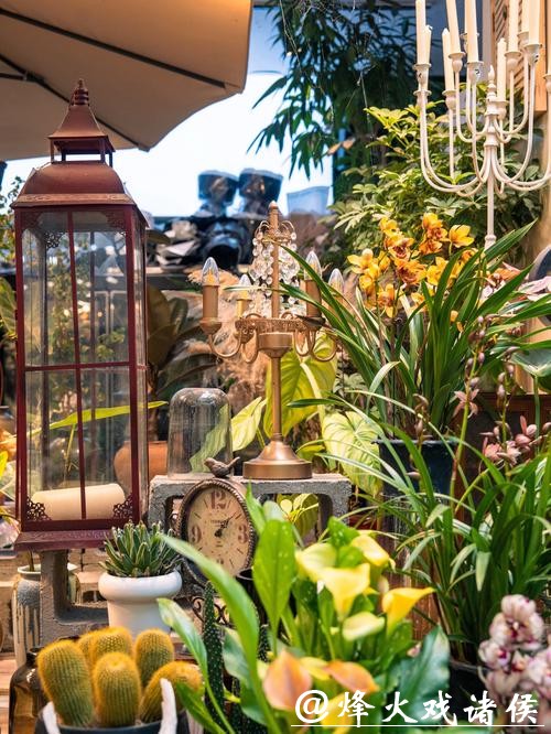 江南的花市 江南的花市